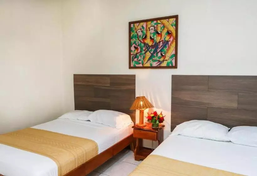 فندق Flor Blanca