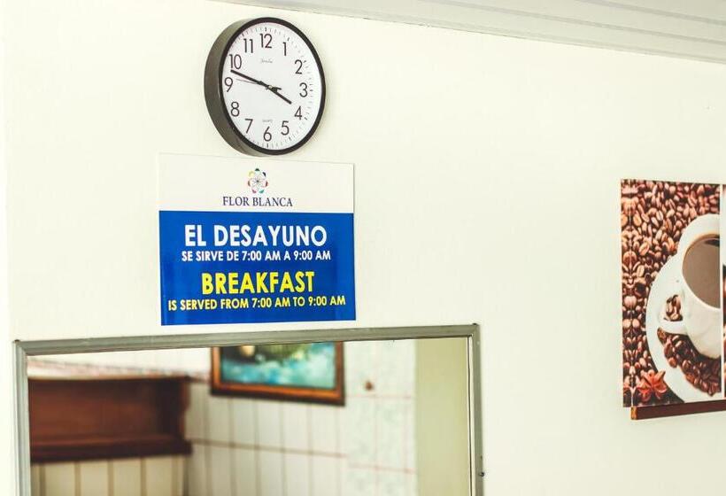 فندق Flor Blanca