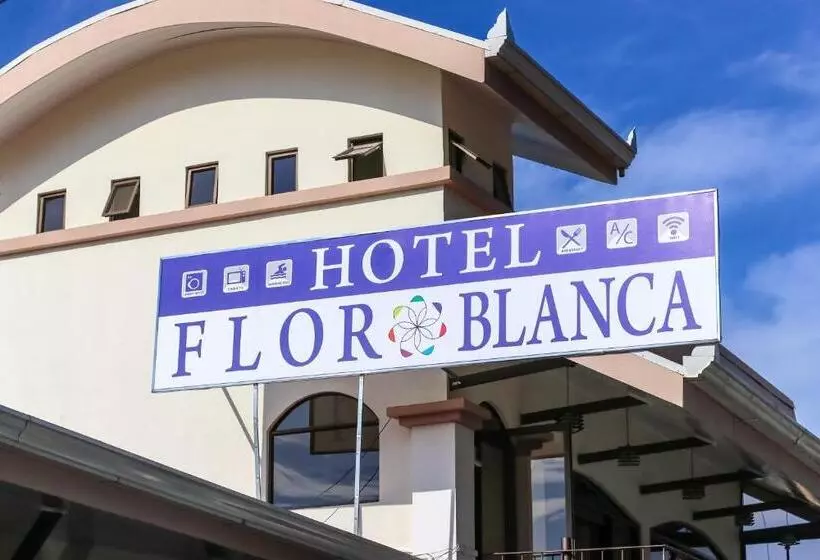 فندق Flor Blanca