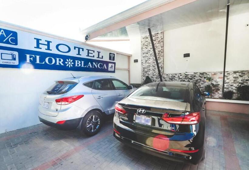 فندق Flor Blanca