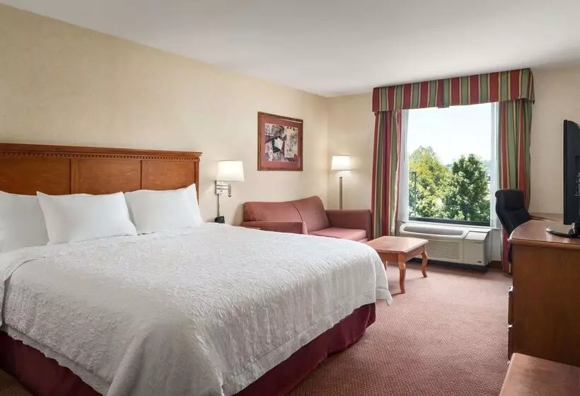 ホテル Hampton Inn Belle Vernon
