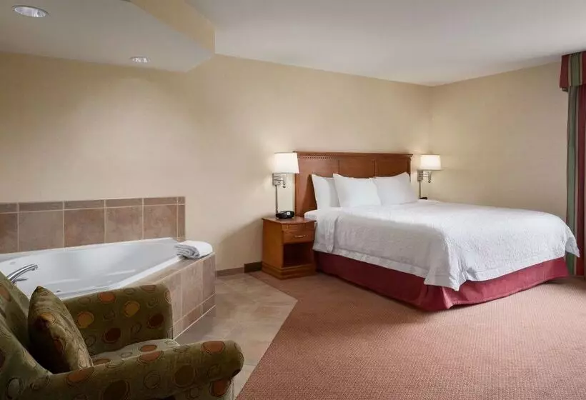 ホテル Hampton Inn Belle Vernon