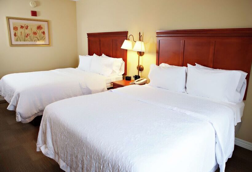 בית מלון כפרי Hampton Inn Martin