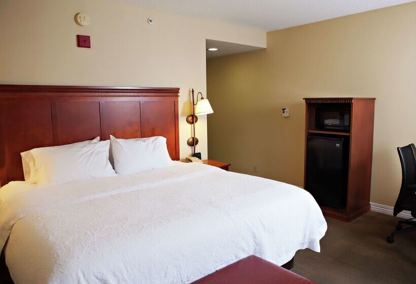 בית מלון כפרי Hampton Inn Martin