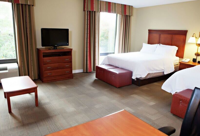 בית מלון כפרי Hampton Inn Martin