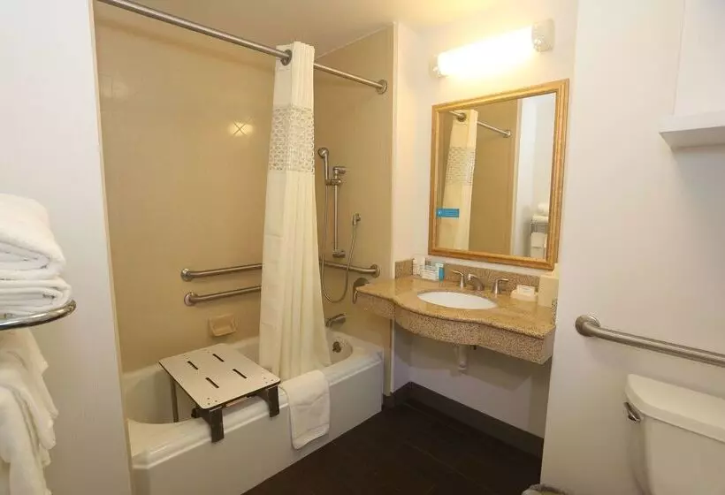 酒店 Hampton Inn Owego