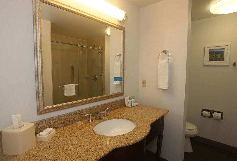 Hotelli Hampton Inn Owego