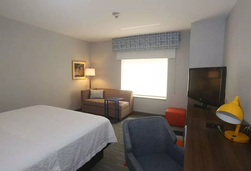 酒店 Hampton Inn Owego