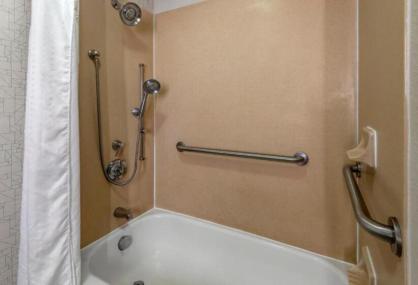 酒店 Holiday Inn Express Charlotte West Gastonia, An Ihg