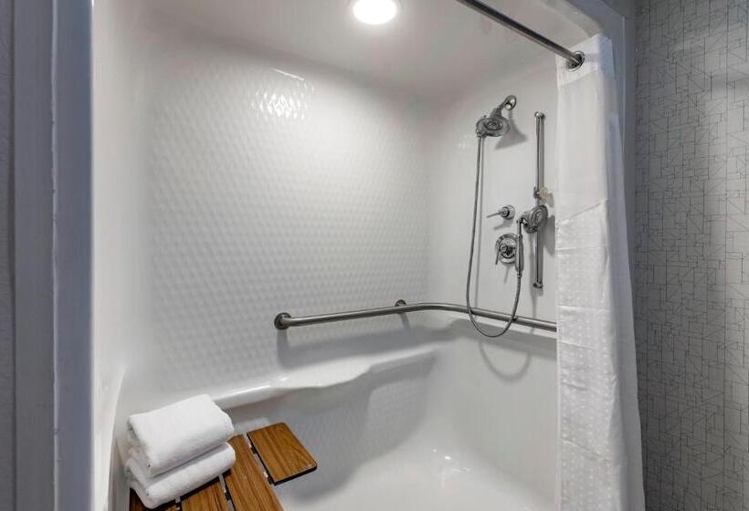 酒店 Holiday Inn Express Charlotte West Gastonia, An Ihg