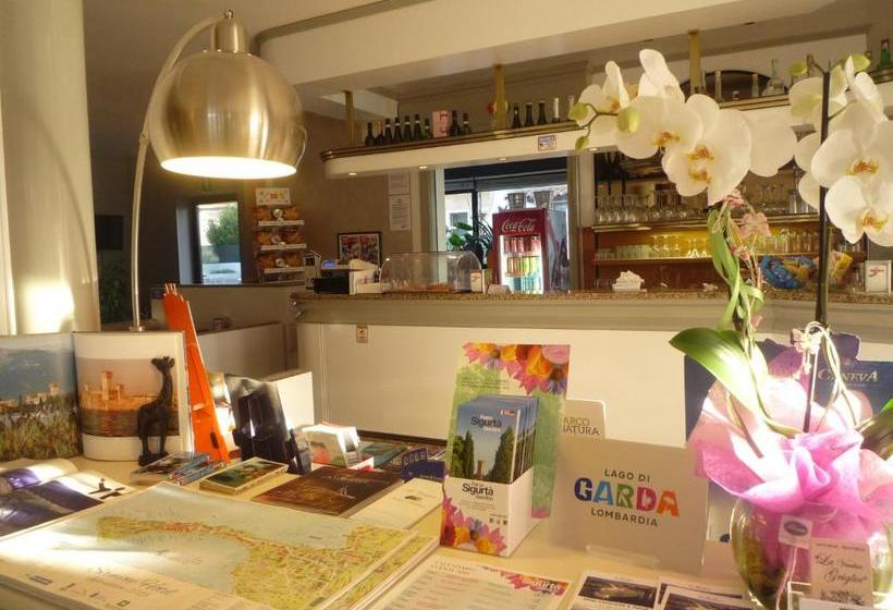 בית מלון כפרי International