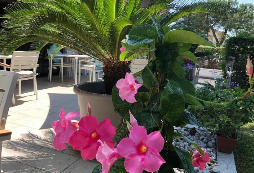 בית מלון כפרי International