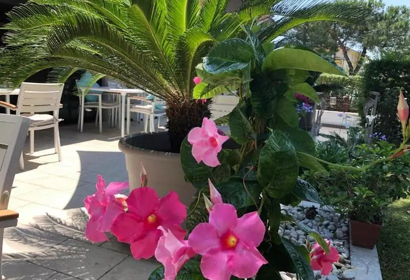 فندق International