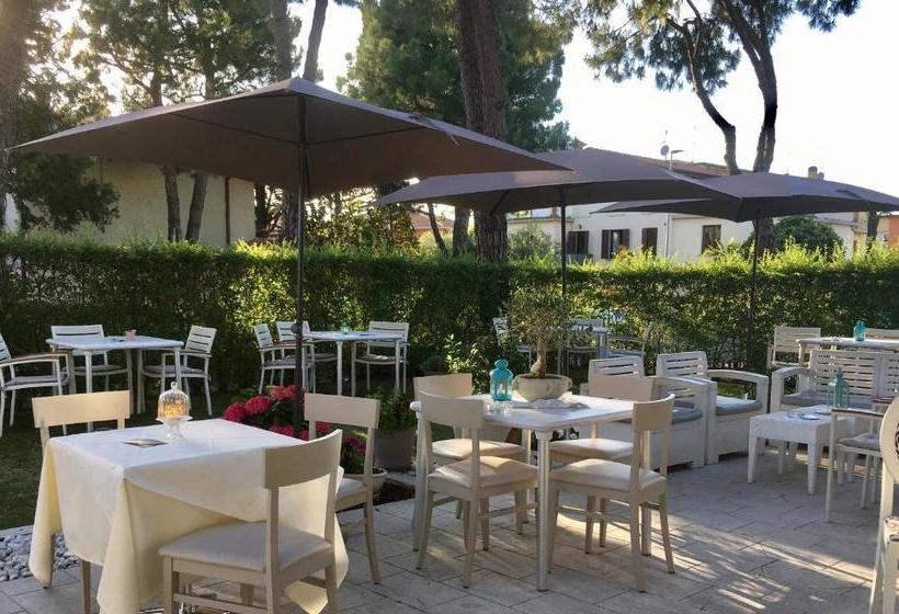 בית מלון כפרי International