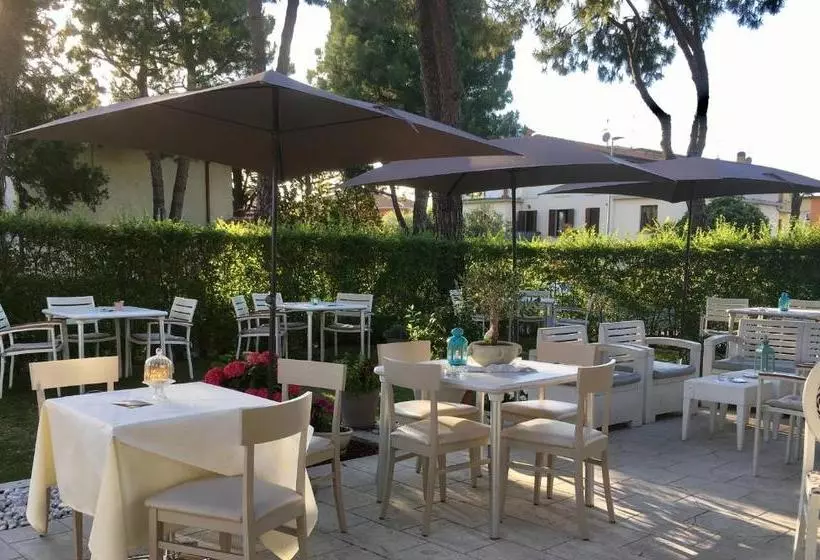 فندق International