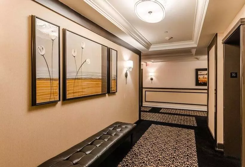 Le St Martin Hotel Centre Ville – Hotel Particulier