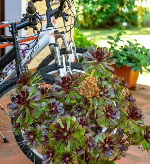 Отель Residence Ristorante Il Paradiso