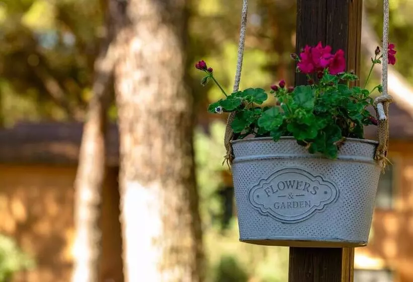 Отель Residence Ristorante Il Paradiso