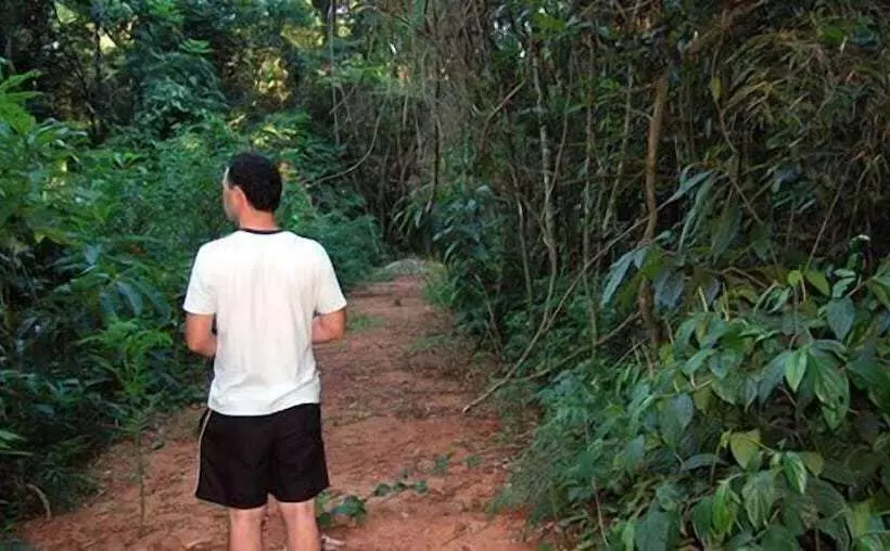 هتل Sol Cataratas