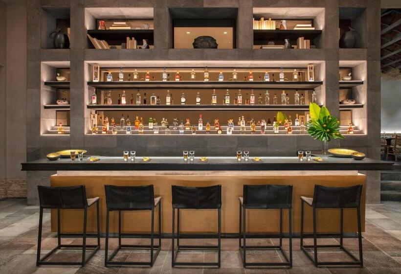 Otel Impression Moxché by Secrets - Adults Only