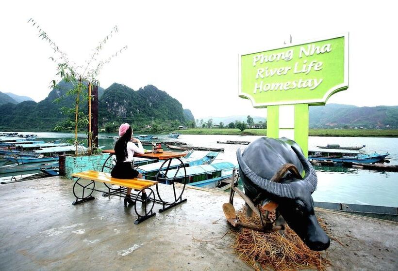 هتل Phong Nha Riverlife Homestay  Hostel