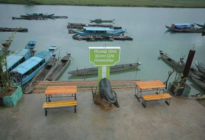 هتل Phong Nha Riverlife Homestay  Hostel