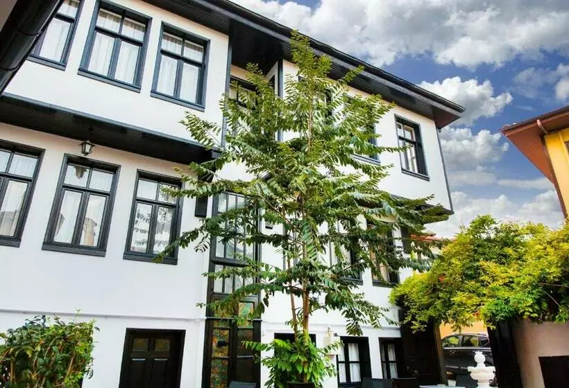 Aamiaismajoitus (B&B) Avlu Tophane