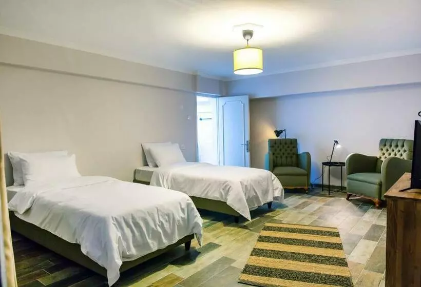 Aamiaismajoitus (B&B) Avlu Tophane