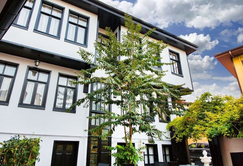 ベッドアンドブレックファースト Avlu Tophane