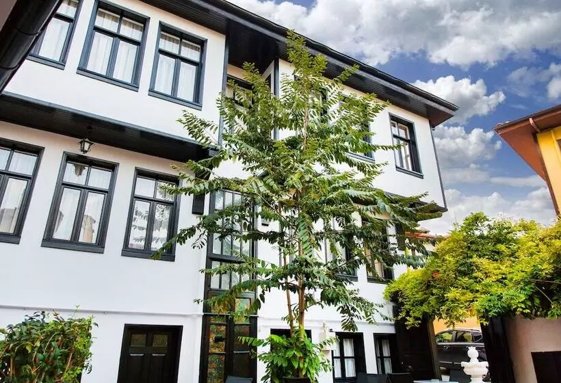 Aamiaismajoitus (B&B) Avlu Tophane