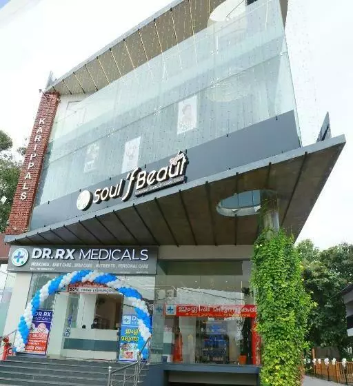 ホテル Karippals Inn