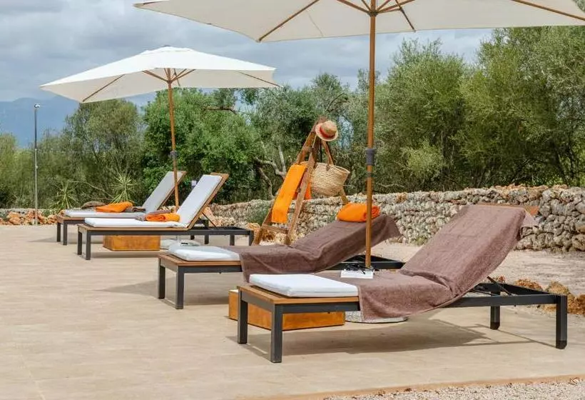 ホテル Cal Tio 2 Agroturismo Yourhouse