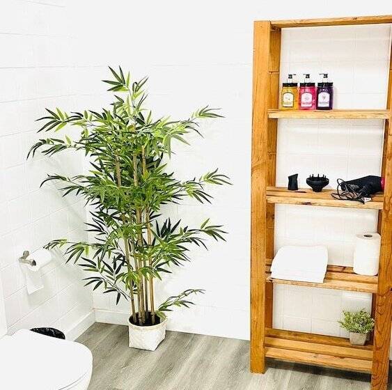 فندق صغير Area Surf House