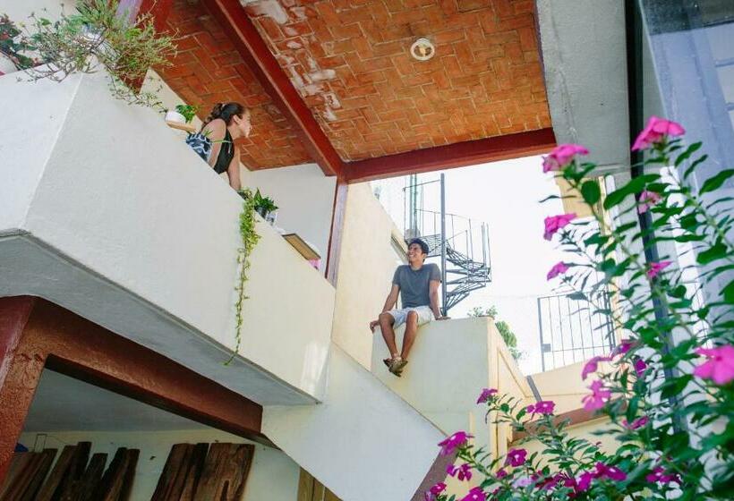 הוסטל Residencia Artistica