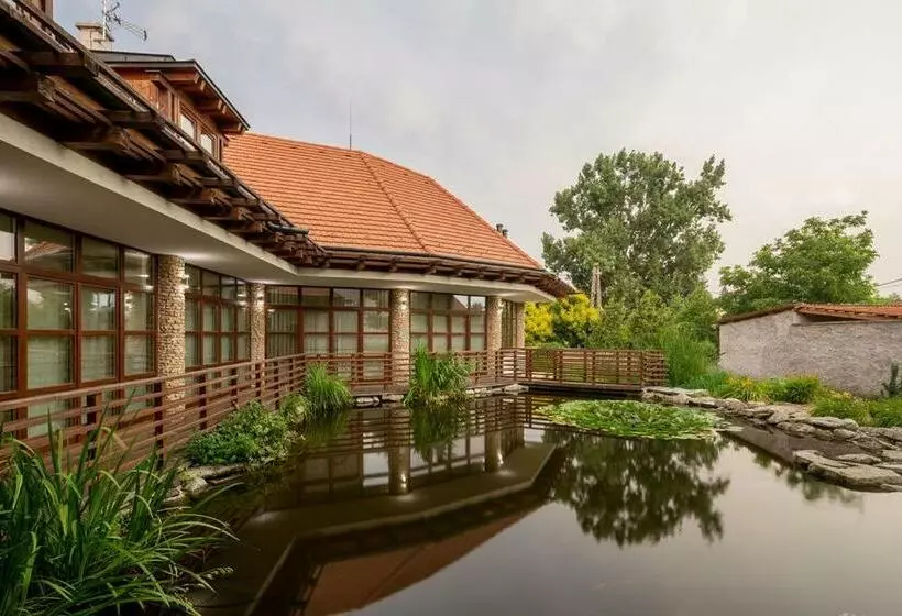 Aamiaismajoitus (B&B) Furmint Ház