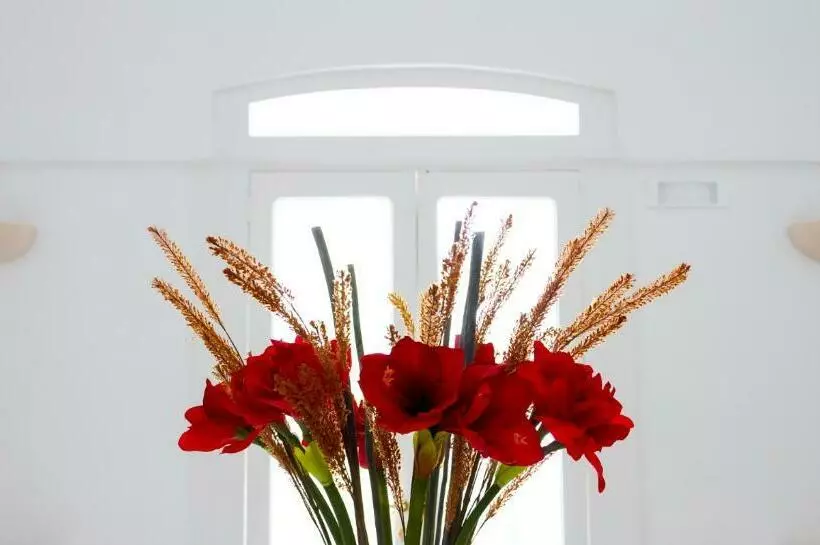 Aamiaismajoitus (B&B) Villa Aurelia Suites And Apartments