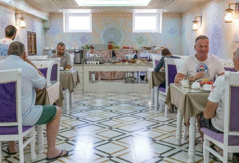 Отель Grand Vizir