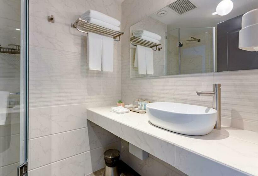 هتل Ramada By Wyndham Tbilisi Old City