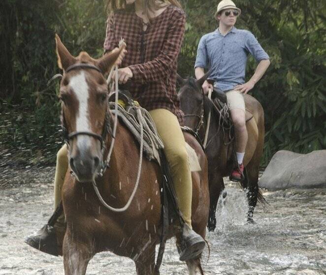 Отель Hacienda Bambusa