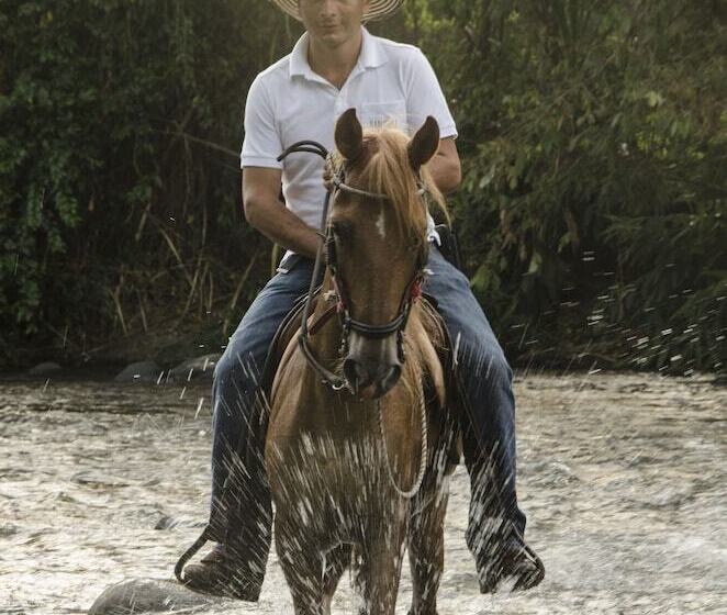 Отель Hacienda Bambusa