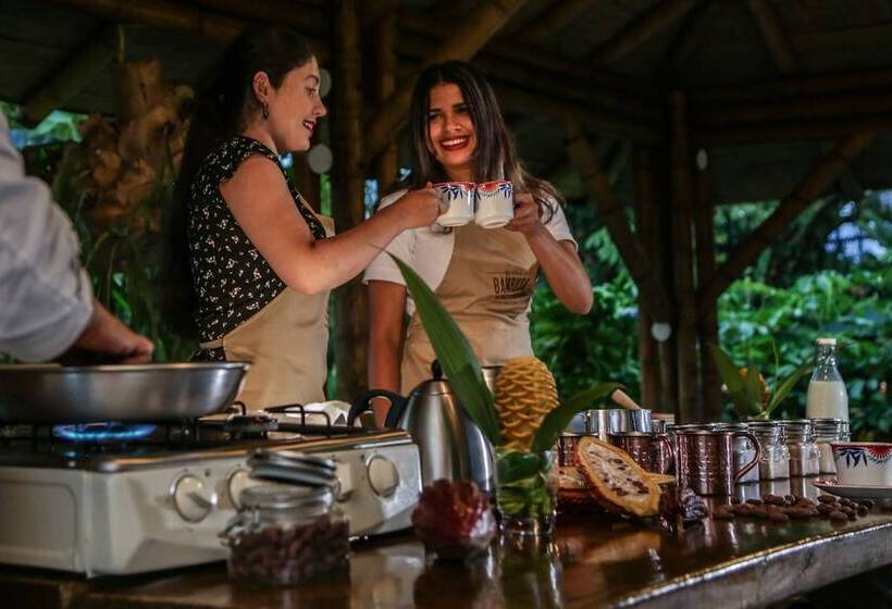 Отель Hacienda Bambusa