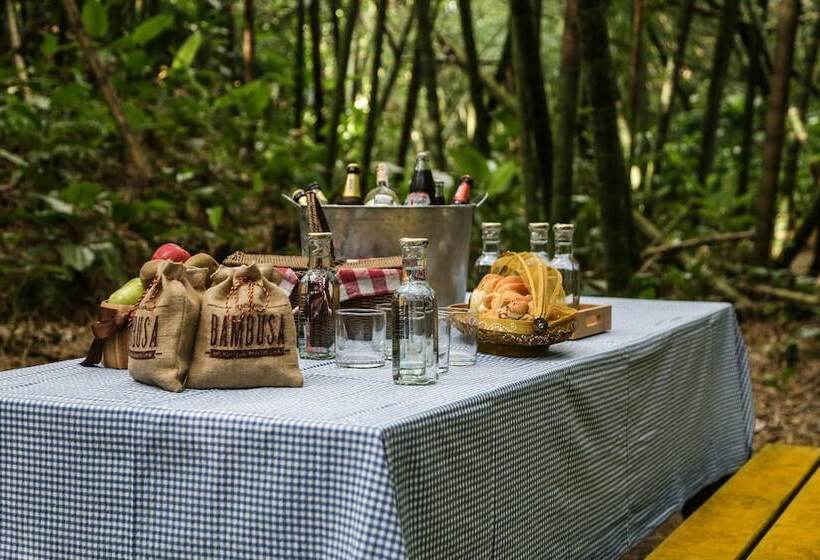 Отель Hacienda Bambusa