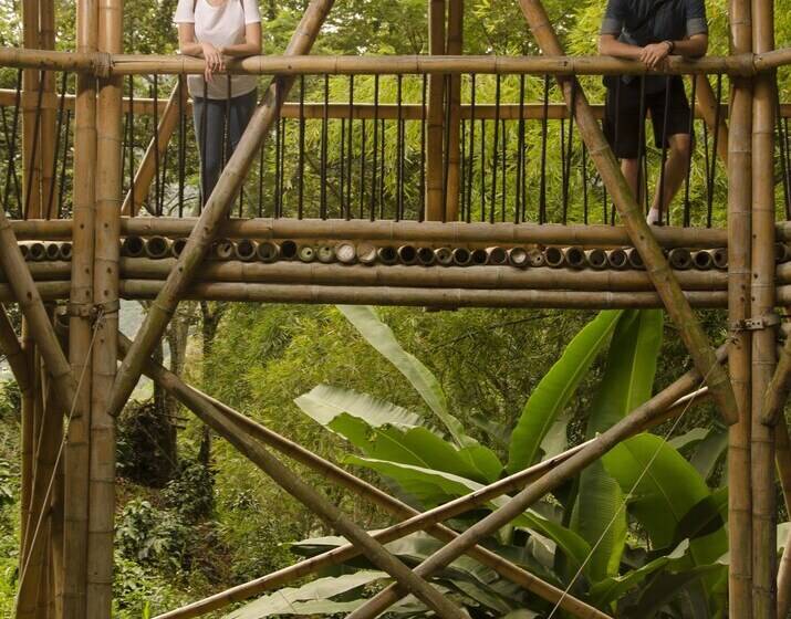 Отель Hacienda Bambusa