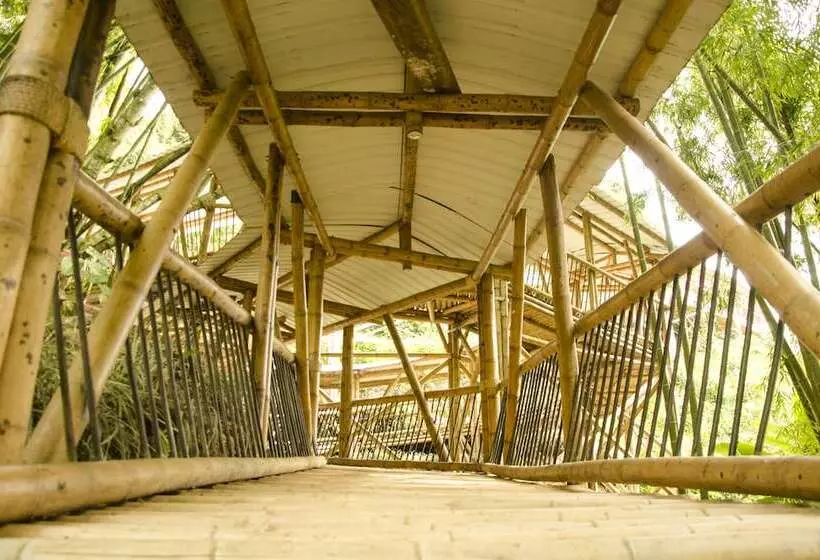ホテル Hacienda Bambusa