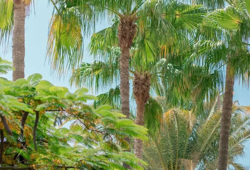 Apartamentos El Palmar