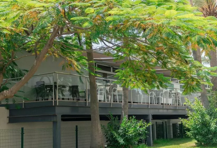 Apartamentos El Palmar