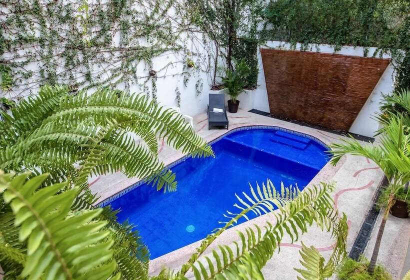 فندق Hacienda De Vallarta Centro