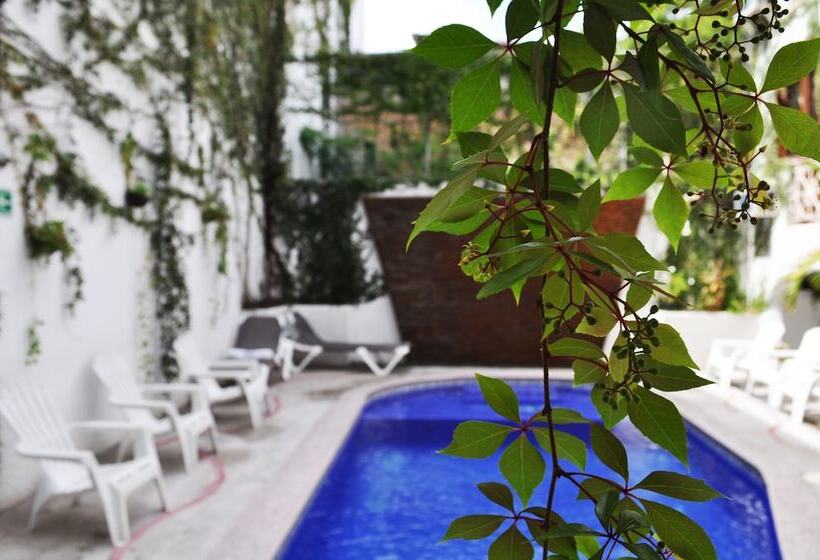 فندق Hacienda De Vallarta Centro