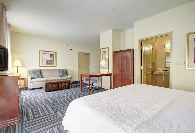 酒店 Hampton Inn & Suites Alexandria