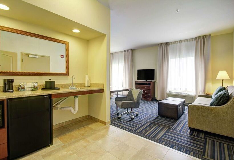 בית מלון כפרי Hampton Inn & Suites Alexandria